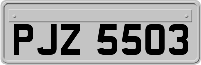 PJZ5503