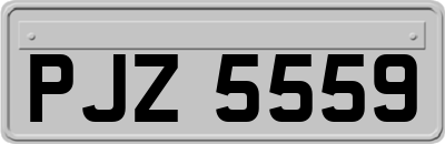 PJZ5559