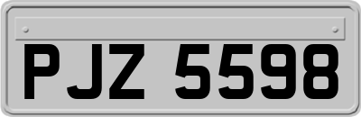 PJZ5598