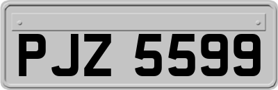 PJZ5599