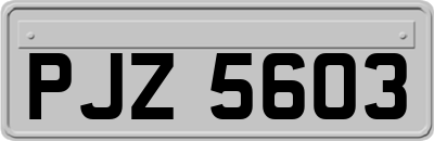PJZ5603