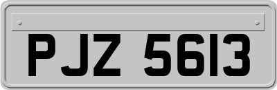 PJZ5613