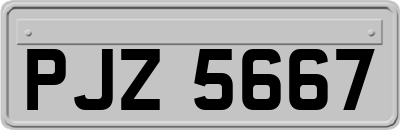 PJZ5667