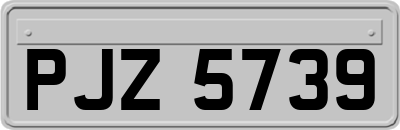 PJZ5739