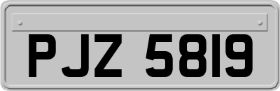 PJZ5819