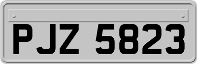 PJZ5823
