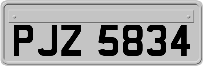 PJZ5834