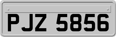PJZ5856