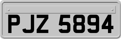 PJZ5894