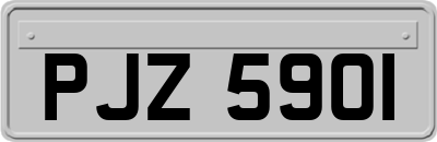 PJZ5901