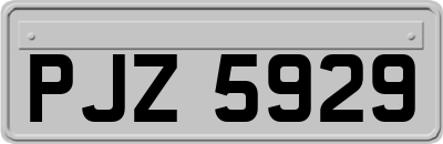 PJZ5929