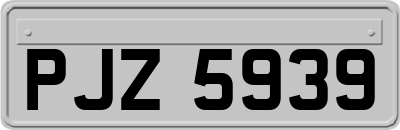 PJZ5939