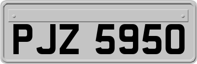 PJZ5950
