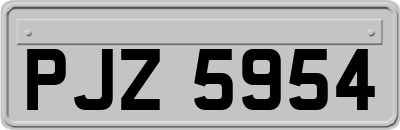 PJZ5954