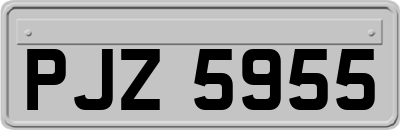 PJZ5955