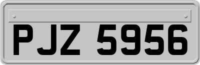 PJZ5956