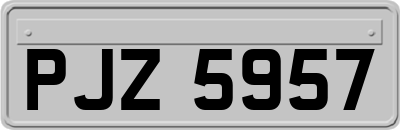 PJZ5957