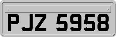 PJZ5958