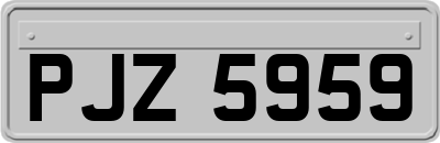 PJZ5959