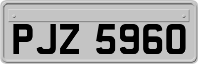 PJZ5960