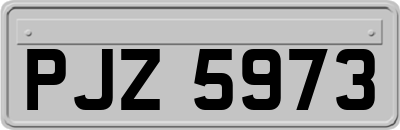 PJZ5973