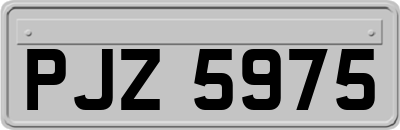 PJZ5975