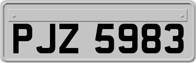 PJZ5983