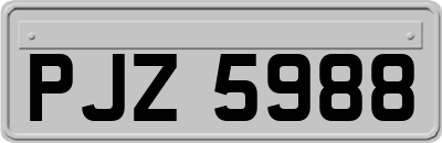 PJZ5988