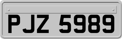 PJZ5989