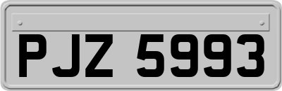 PJZ5993
