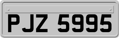PJZ5995