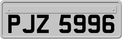 PJZ5996