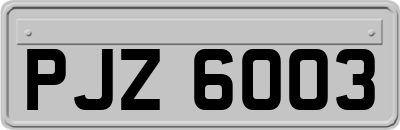 PJZ6003