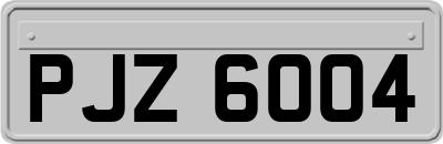 PJZ6004