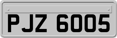 PJZ6005