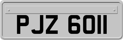 PJZ6011