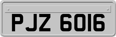 PJZ6016
