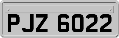 PJZ6022