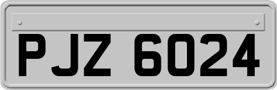 PJZ6024
