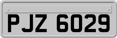 PJZ6029