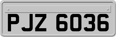 PJZ6036