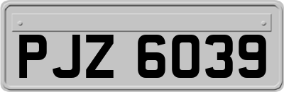 PJZ6039