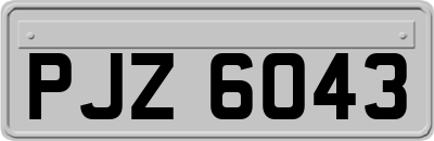PJZ6043