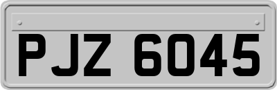 PJZ6045