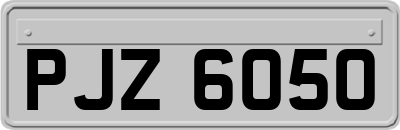 PJZ6050