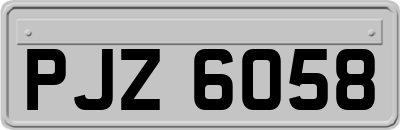 PJZ6058