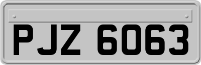 PJZ6063
