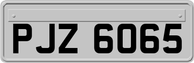 PJZ6065