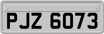 PJZ6073