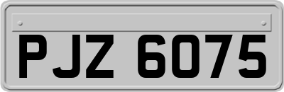 PJZ6075